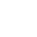 All American Debris & Wrecking