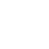 All American Debris & Wrecking