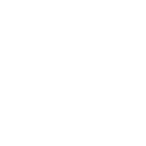 All American Debris & Wrecking